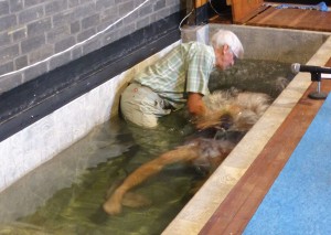 Adam Baptism 26